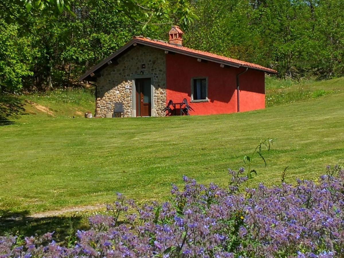 Agriturismo Braccicorti Pieve Fosciana Kültér fotó