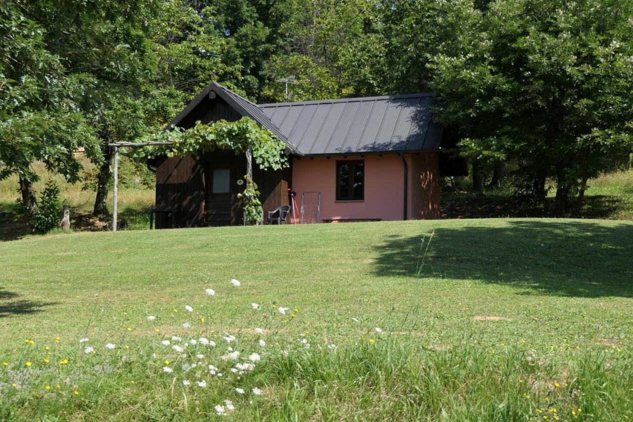 Agriturismo Braccicorti Pieve Fosciana Kültér fotó