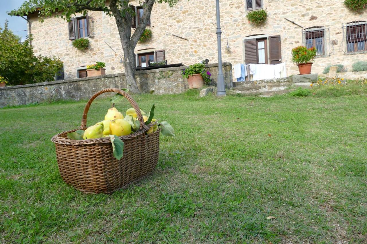 Agriturismo Braccicorti Pieve Fosciana Kültér fotó