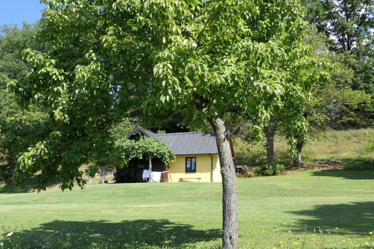 Agriturismo Braccicorti Pieve Fosciana Kültér fotó