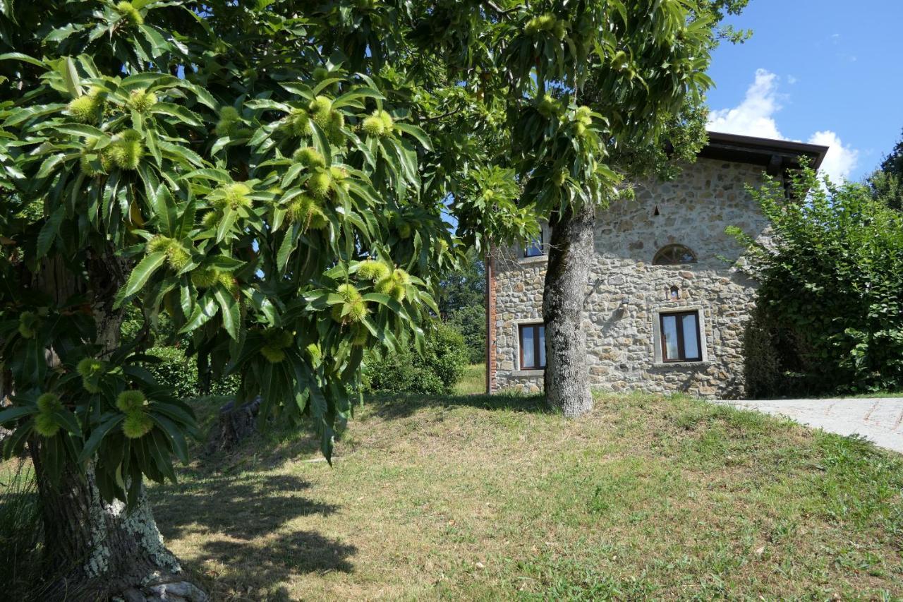 Agriturismo Braccicorti Pieve Fosciana Kültér fotó