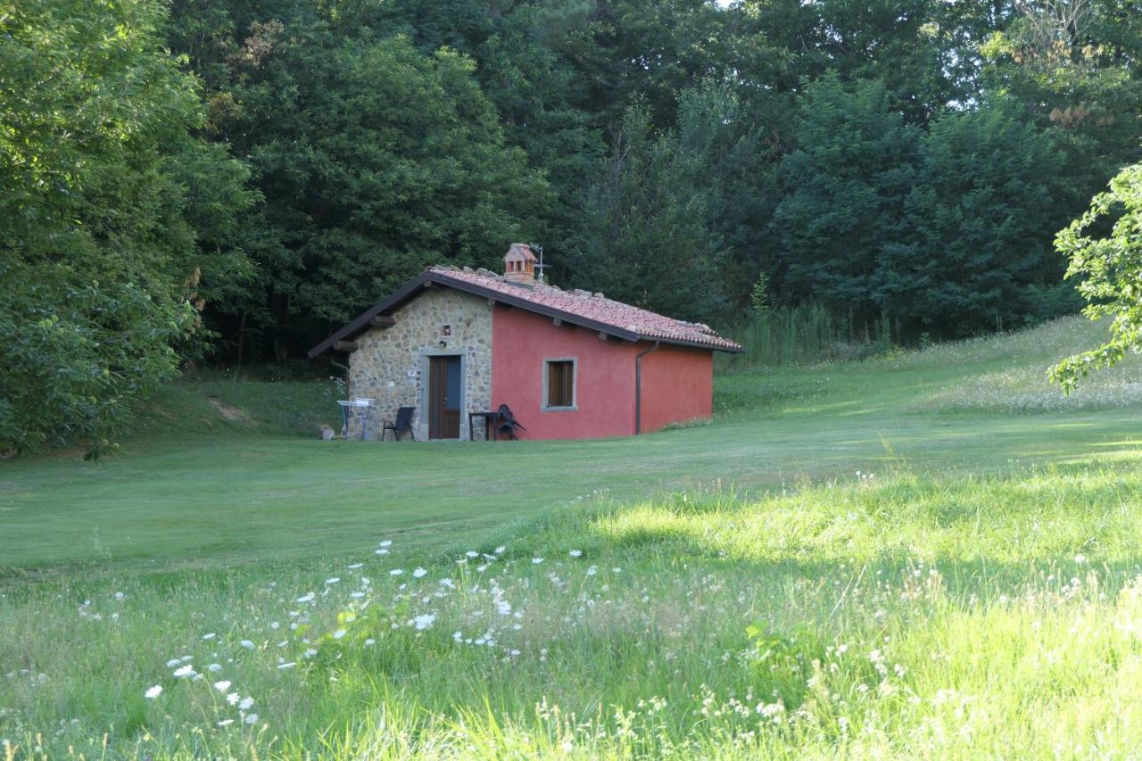 Agriturismo Braccicorti Pieve Fosciana Kültér fotó