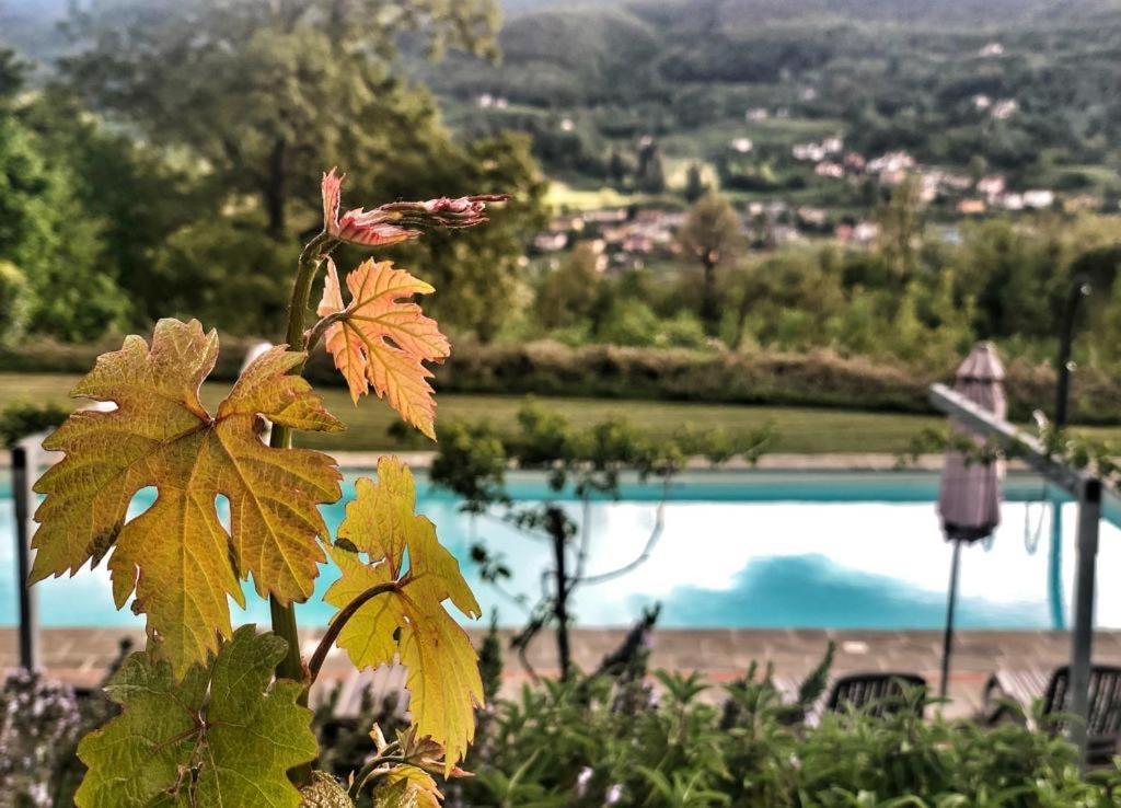 Agriturismo Braccicorti Pieve Fosciana Kültér fotó