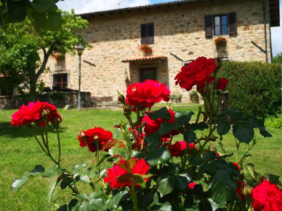 Agriturismo Braccicorti Pieve Fosciana Kültér fotó
