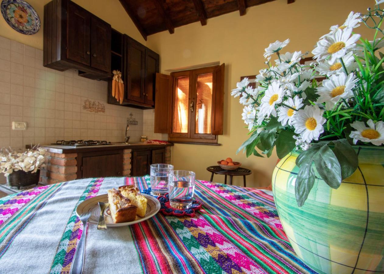 Agriturismo Braccicorti Pieve Fosciana Kültér fotó