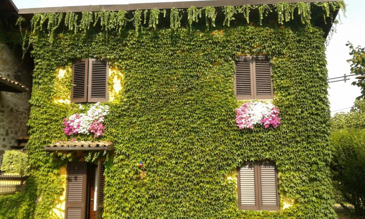 Agriturismo Braccicorti Pieve Fosciana Kültér fotó