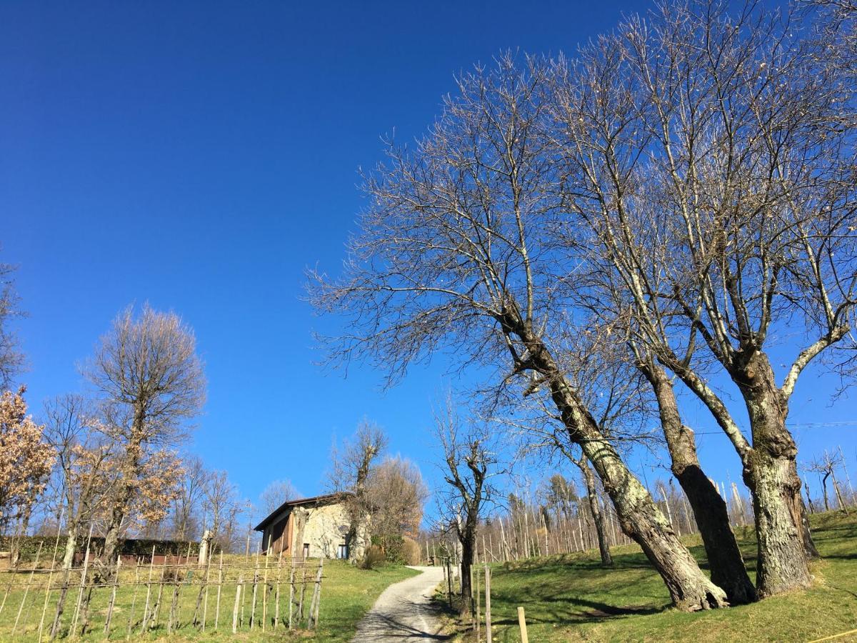 Agriturismo Braccicorti Pieve Fosciana Kültér fotó
